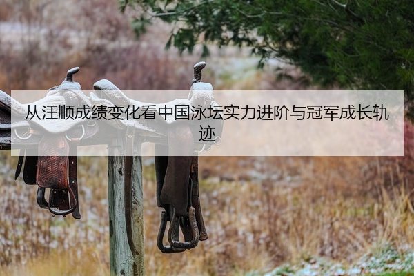 从汪顺成绩变化看中国泳坛实力进阶与冠军成长轨迹