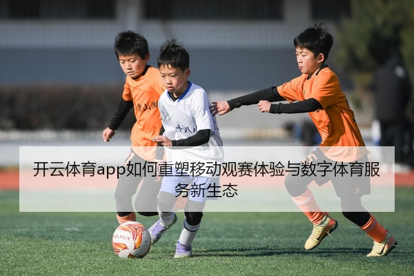 开云体育app如何重塑移动观赛体验与数字体育服务新生态