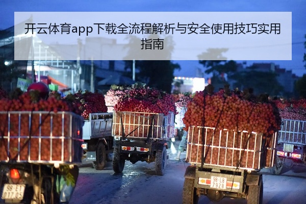 开云体育app下载全流程解析与安全使用技巧实用指南